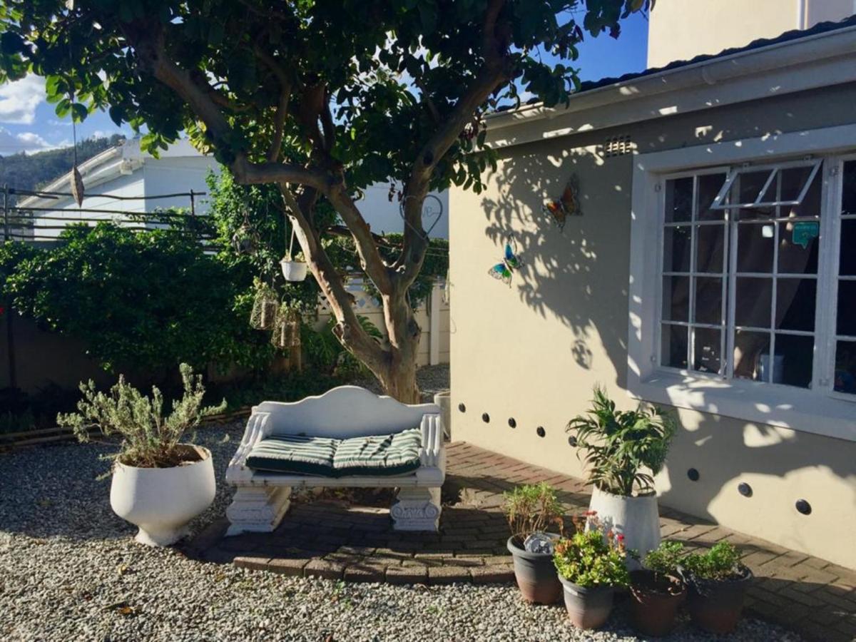 Jembjo'S Knysna Lodge & Backpackers מראה חיצוני תמונה